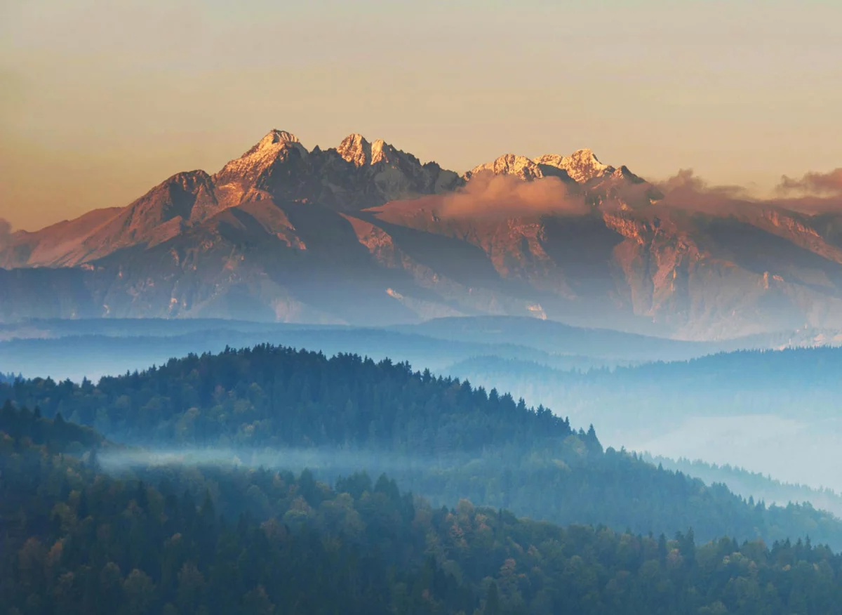 zrozumieć informatykę w nowy sposób