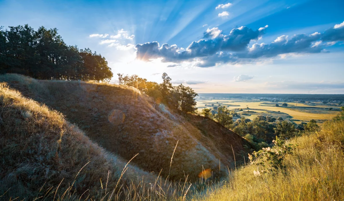 Czy da się w 2020  znaleźć dentystę w Cieszynie?
