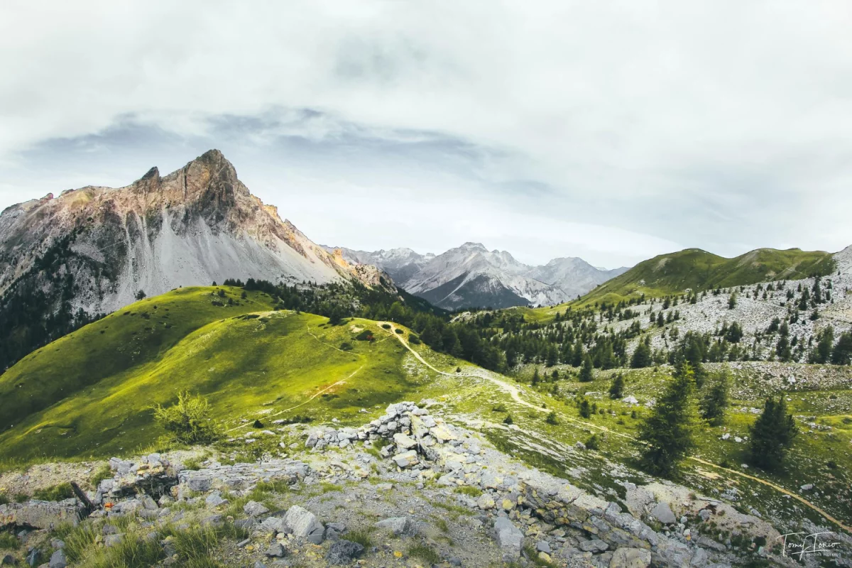 Jak odbyć wstępne szkolenia bhp - Nowe informacje