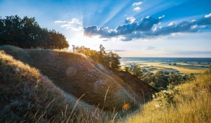 Krótki poradnik jak kupić programy, który zmieni wszystko