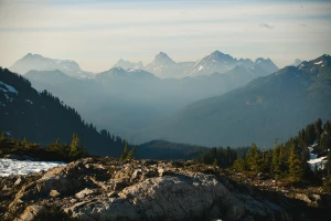 Czy w 2023 można  zrozumieć informatykę?